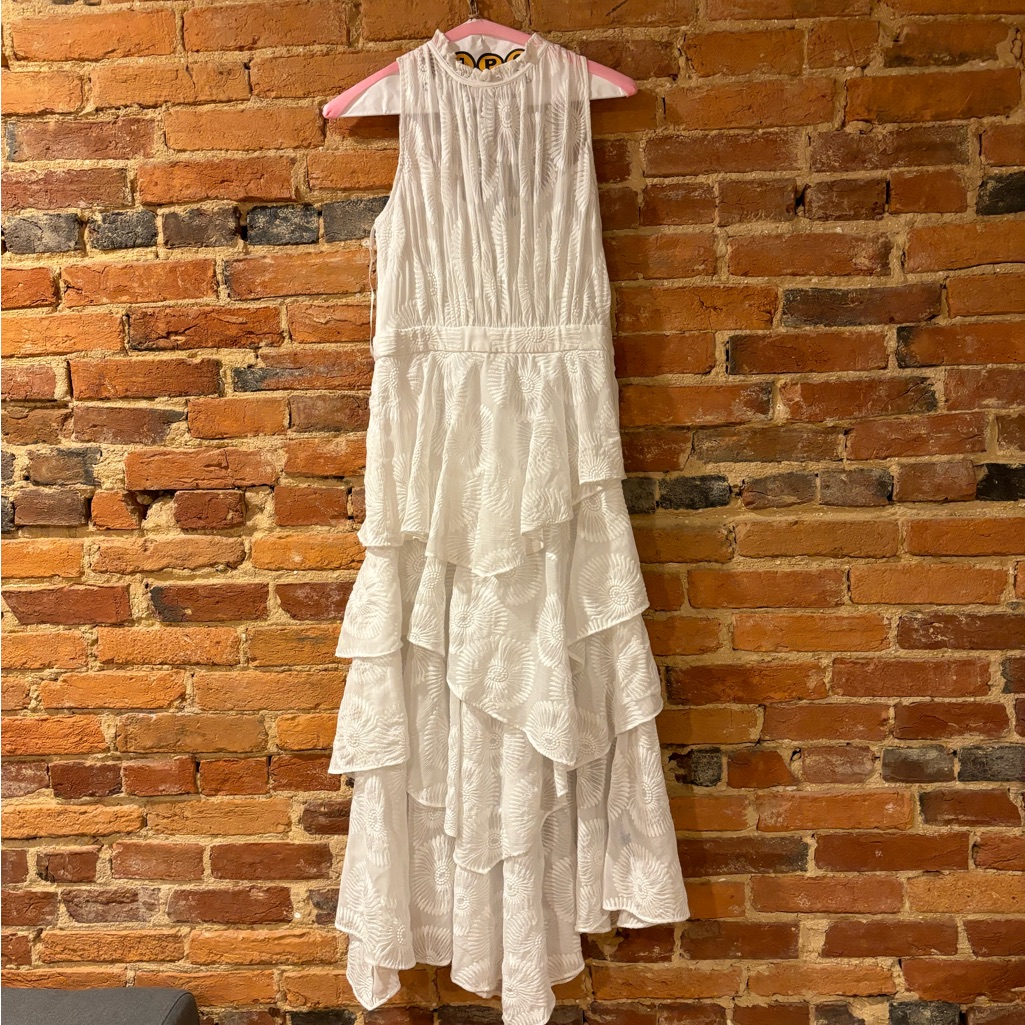 Ted Baker Dress. Worn Once And Sent To Dry Cleaning Right After.